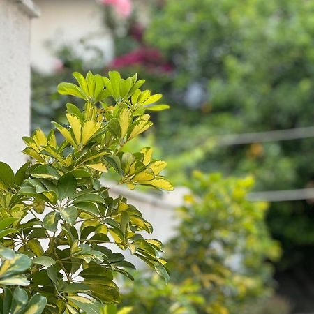 Μονοκατοικία «Maizonette Passaggio G» Volos Exterior foto